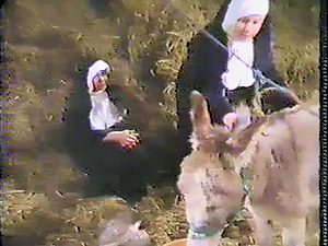 Donkey porn with nuns