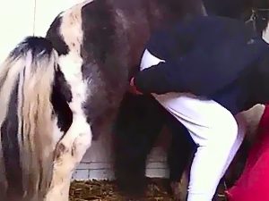 Man and horse porn