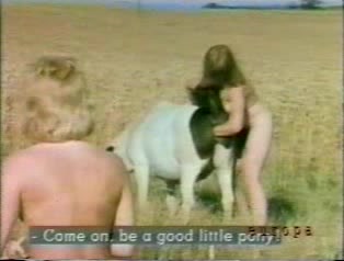 314px x 238px - British lady and donkey fucks in the pasture