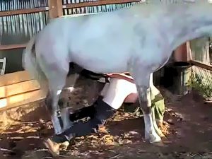 Man fucked by horse porn
