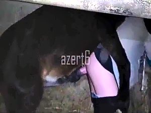 Man fucked by horse porn